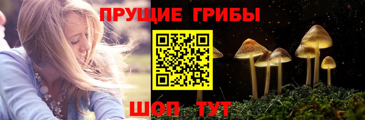 Елабуга  Галлюциногенные грибы Psilocybine cubensis  где купить   Вход с VPN 